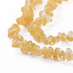 加熱された天然シトリンビーズ連売り  染め  チップ  2.5~6.5x6.5~11.5mm  穴：0.8mm  約31.34インチ（79.6cm）&nbsp;G-L555-06
