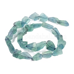 粗い天然蛍石ビーズ連売り  ナゲット  14.5~18.5x10~13x5.5~8mm  穴：1mm  約31個/連  15.75インチ（40cm）&nbsp;G-G116-B03-01