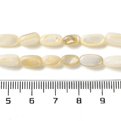 天然ニシキウズガイシェルビーズ連売り  オーバル  小麦  8~10x4~5.5x3~5mm  穴：0.6mm  約41個/連  15.55''（39.5センチメートル）&nbsp;SHEL-G020-03B