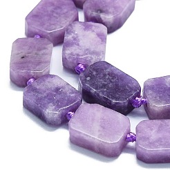 天然レピドライト/パープルマイカストーンビーズ連売り  長方形  15~17x10~13x5~7mm  穴：1mm  約22個/連  15.94''（40.5センチメートル）&nbsp;G-K245-J05-01