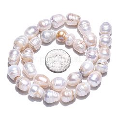 天然養殖淡水パールビーズ連売り  ライス  貝殻色  6.5~14.5x10~12.5mm  穴：0.6mm  31~45個/連  15.67~16.14インチ（39.8~41cm）&nbsp;PEAR-N012-10E