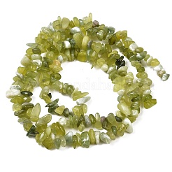 天然翡翠チップビーズ連売り  チップ  グリーン  4.5~16x4~8mm  穴：0.7mm  30.71~30.91''（78~78.5センチメートル）&nbsp;X-G-B160-B02