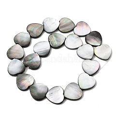 天然ブラックリップシェルビーズ連売り  ハート  18.5~20x19.5~20x3.5~4mm  穴：0.5mm  約20個/連  15.16''（38.5センチメートル）&nbsp;BSHE-D300-06C