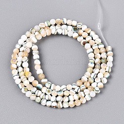 蓄光天然貝殻ビーズ連売り  染め  ラウンド  貝殻色  2.5~3mm  穴：0.5mm  約155~156個/連  15.55インチ（39.5cm）&nbsp;SSHEL-N040-05