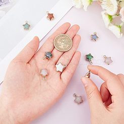 10個10スタイルの天然および合成宝石用原石のペンダント  ライトゴールドメッキエッジと真鍮製ループ付き  スター  多面カット  16~17x13x6.5mm  穴：1.6mm  1個/スタイル&nbsp;G-FH0001-29