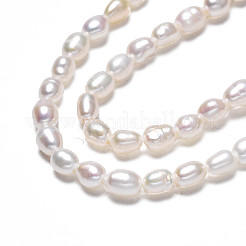 天然養殖淡水パールビーズ連売り  ライス  貝殻色  3~3.5x2.5mm  穴：0.6mm  約90~92個/連  13.78インチ（35cm）&nbsp;PEAR-N012-02G