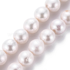 天然ケシパールビーズ連売り  養殖淡水パール  ラウンド  貝殻色  8~10x8~10mm  穴：0.7mm  約38~40個/連  14.96インチ（38cm）&nbsp;PEAR-S020-L04