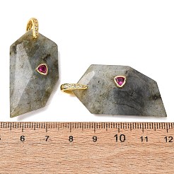 天然石ラブラドライトペンダント  他人  ゴールドカラー  40~40.5x20.5~21x9.5~10mm  穴：6x6.5mm&nbsp;GG-CBA51ED-04G-01