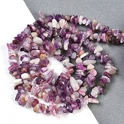 天然レピドライト/パープルマイカストーンビーズ連売り  チップ  6~12x1.5~6x4~7mm  穴：1mm  31.50''（80センチメートル）&nbsp;G-G905-23