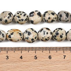 天然石ダルメシアンジャスパービーズ連売り  ナゲット  タンブルストーン  9~11x8~10x6~10mm  穴：0.8mm  約18~19個/連  6.89~7.28''（17.5~18.5センチメートル）&nbsp;GG-CBA787B-A11