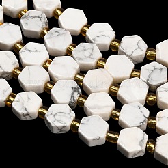 天然石ハウライトビーズ連売り  六角  シードビーズで  9x10x5mm  穴：0.8mm  約15個/連  7.09''（18センチメートル）&nbsp;G-F833-B13-01
