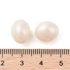 ABSプラスチックパール調ビーズ  卵  貝殻色  12x10mm  穴：2mm&nbsp;OACR-B026-04