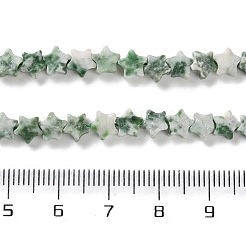 天然グリーンスポットジャスパービーズ連売り  スター  6x6x2.5mm  穴：0.7mm  約71~73個/連  14.37''~14.96''（36.5~38センチメートル）&nbsp;G-G085-B55-02