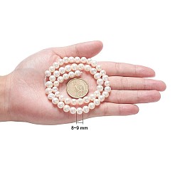天然養殖淡水パールビーズ連売り  ラウンド  フローラルホワイト  8~9mm  穴：0.8mm  約47個/連  14.76インチ&nbsp;PEAR-R063-16