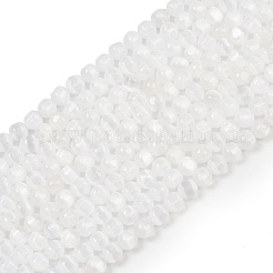 天然セレナイトビーズ連売り  ドラム  ホワイト  9x8mm  穴：0.9~1mm  約45個/連  15.35''（39センチメートル）&nbsp;G-F805-01