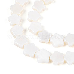 天然淡水シェルビーズ連売り  花  貝殻色  6x6x2mm  穴：0.7mm  約68個/連  15.16インチ〜15.55インチ（38.5~39.5cm）&nbsp;SHEL-N027-02-01