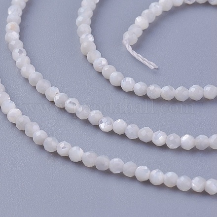 シェルビーズ連売り  多面カット  ラウンド  2~2.3mm  穴：0.4mm  約178個/連  14.7インチ（375cm）&nbsp;SSHEL-E571-38-2mm-1