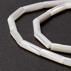 天然トロチッドシェル/トロカスシェルビーズ  ストレートチューブ  貝殻色  14x3.5~4mm  穴：0.8mm  約29個/連  15.98インチ（40.6cm）&nbsp;X-SSHEL-O001-26B