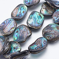 天然アワビシェル/パウアシェルビーズ連売り  ナゲット  26~35x18~25x6~11mm  穴：0.8mm  約14個/連  15.5インチ（39.5cm）&nbsp;SSHEL-P014-04