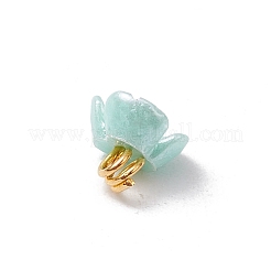 樹脂製模造パールチャーム6個  花  金色の真鍮ボールヘッドピン付き  ミックスカラー  5.5x6x5.5mm  穴：1.5mm&nbsp;PALLOY-JF03422