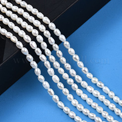 天然養殖淡水パールビーズ連売り  ライス  貝殻色  4.5~5x3~4mm  穴：0.7mm  約68~69個/連  14.17インチ（36cm）&nbsp;PEAR-N012-03F