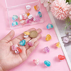 24個 12色ハート型透明樹脂グリッターパウダーシューズバックルクリップ  プラスチック製クリップ付き  ミックスカラー  15~17x18~20mm  2個/カラー&nbsp;HJEW-HY00163