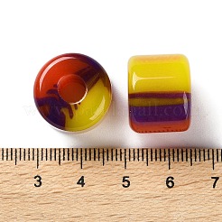 レジンヨーロピアンビーズ  大穴ビーズ  コラム  カラフル  13.5~14x17~17.5x17~17.5mm  穴：6mm&nbsp;RESI-U009-01A-03