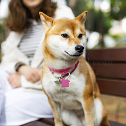 40 個 5 色透明ブランクアクリルペット犬 ID タグ  子犬の首輪チャーム用  ハウス  ミックスカラー  12.5x12.5x3mm  穴：3mm  8個/カラー&nbsp;PALLOY-AB00047