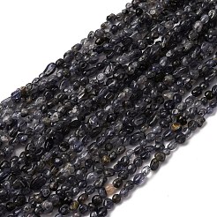 天然アイオライト/コーディエライト/ダイクロアイトビーズ連売り  ナゲット  5~9x4~6x3~4.5mm  穴：0.7mm  約75~89個/連  15.35''（39cm）〜15.94''（40.5cm）&nbsp;G-I389-A34-01A