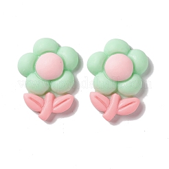 スプレープリント樹脂カボション  DIYアクセサリー  混合図形  ミックスカラー  15~24x13~23x5~8mm&nbsp;RESI-G031-15