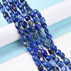 天然石ラピスラズリビーズ連売り  ナゲット  6~12x6~8mm  穴：0.5mm  約47個/連  15.7インチ（40cm）&nbsp;G-F575-01E