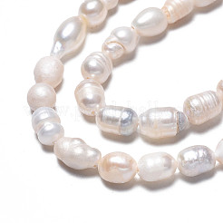 天然養殖淡水パールビーズ連売り  ライス  貝殻色  5~11.5x4.5~6mm  穴：0.7mm  約50~53個/連  13.70インチ〜13.94インチ（34.8cm〜35.4cm）&nbsp;X-PEAR-N012-05F