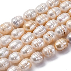 天然養殖淡水パールビーズ連売り  スジ入りビーズ  ライス  乳白色  9x8mm  穴：0.6mm  約39個/連  15.55''（39.5センチメートル）&nbsp;PEAR-XCP0001-07