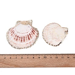 貝殻ペンダントを電気メッキ  ライトゴールド鉄パーツと  カラフル  40~60x35~60x3~6mm  穴：1.6mm&nbsp;SSHEL-S258-69A