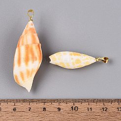真鍮と天然ミトラ貝の大きなペンダント  巻貝チャーム  ライトゴールド  オレンジ  32~57x12~22x11~20mm  穴：4~5x3.5mm&nbsp;SHEL-Q029-17KCG