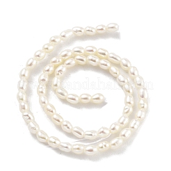 天然養殖淡水パールビーズ連売り  グレード7a+  ライス  雪  2~2.3mm  穴：0.3mm  約63個/連  7.68''（19.5センチメートル）&nbsp;PEAR-P062-22
