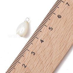 天然トロクスシェルペンダント  真鍮のバチカン付きの花のチャーム  ホワイト  銀  13x7mm  穴：1.7mm&nbsp;PALLOY-JF05371