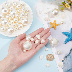 海をテーマにした花瓶用フィラー  天然シェルを含む  プラスチックイミテーションパール穴あけなし/穴なしビーズ  ホワイト  ビーズ：10~30mm  120pc  シェル：17~22x21~28x7~10mm  16pc&nbsp;AJEW-BC0003-66