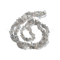 天然石ラブラドライトビーズ連売り  チップ  5~15x5.5~6x2.5~4mm  穴：0.7mm  30.31''~30.71''（77~78センチメートル）&nbsp;G-P497-03A-04