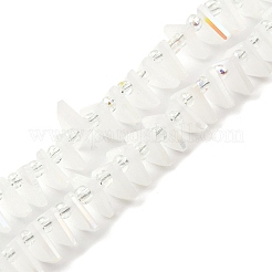 電気メッキガラスビーズセット  多面カット  ファン  ホワイト  8x10x3mm  穴：1mm  約100個/連  19.29''（49センチメートル）&nbsp;EGLA-S176-05A-B11