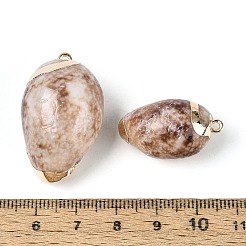 電気メッキナチュラルシェルペンダント  金色の鉄製ループが付いた巻き貝チャーム  淡い茶色  26~35x15.5~21.5x13~18mm  穴：1.6~1.7mm&nbsp;SSHEL-N042-06