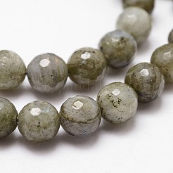 天然石ラブラドライトビーズ連売り  多面カット  ラウンド  ダークカーキ  8mm  穴：1mm  約44個/連  14.9インチ〜15.1インチ&nbsp;G-G736-04-8mm