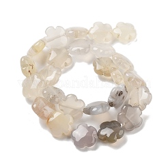 天然ホワイトアゲート瑪瑙ビーズ連売り  花  16x16x6mm  穴：1.4mm  約25個/連  14.57~14.96インチ（37~38cm）&nbsp;G-F769-G01-01