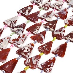 ファイヤーアゲートクラックルビーズ連売り  染め＆加熱  三角形  暗赤色  32.5~36x26.5~29.5x6~7.5mm  穴：2mm  約9個/連  15.75~15.83''（40~40.2センチメートル）&nbsp;GG-CBAE0EB-02D