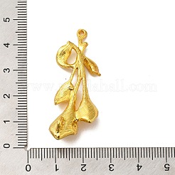 ラックメッキ合金フラワーコネクタチャーム  カドミウムフリー＆鉛フリー  ゴールドカラー  47x17x11.5mm  穴：1.5mmと2mm&nbsp;FIND-C063-04G