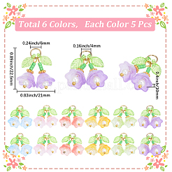 30個6色透明ガラスペンダント  花のチャーム  アクリルビーズとチャーム付き  真鍮のループ  ミックスカラー  22.5x21x10mm  穴：4mm  1pc /カラー  6個/袋  5袋/セット&nbsp;FIND-SC0019-73