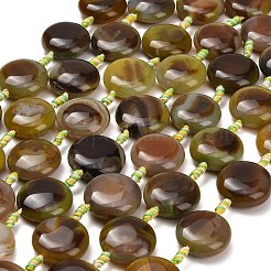 天然石瑪瑙ビーズ連売り  染め＆加熱  コインビーズ  黄緑  23~24x9~10mm  穴：2mm  約12個/連  14.96''（38センチメートル）&nbsp;G-A321-L04-01