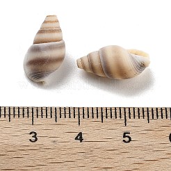 天然スパイラルシェルビーズ  中央掘削  シェル状  ココナッツブラウン  13~17x8~9.5x6.5~9.5mm  約3571個/1000g&nbsp;BSHE-G038-06B