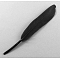 Fashion Feather Costume Accessories, Black, 100~175x13~25mm