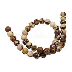Natural Australia Zebra Stone Beads Strands&nbsp;G-H1256-1